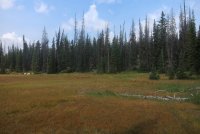 Notch_15.jpg Notch_15.jpg