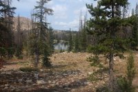 Notch_17.jpg Notch_17.jpg