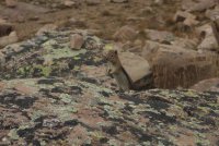 Notch_32.jpg Notch_32.jpg