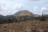 Notch_27.jpg Notch_27.jpg