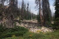 Notch_28.jpg Notch_28.jpg