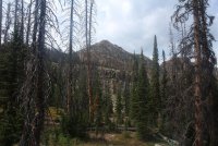 Notch_29.jpg Notch_29.jpg