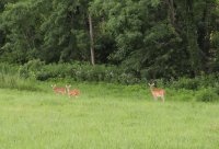 5J5A0393.JPG 5J5A0393.JPG