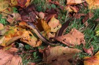 IMG_6364.JPG IMG_6364.JPG