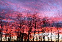 IMG_6696.JPG IMG_6696.JPG