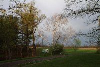 IMG_7541.JPG IMG_7541.JPG