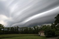 IMG_8089A.JPG IMG_8089A.JPG