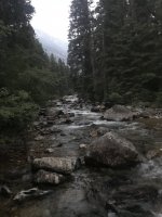 IMG_3707.JPG IMG_3707.JPG