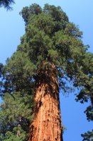 IMG_2563A.JPG IMG_2563A.JPG