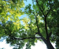 5J5A0806.JPG 5J5A0806.JPG