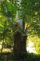 5J5A0798.JPG 5J5A0798.JPG