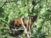 Maroon-Snowmass BP 8-12-18 245.jpg