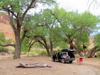 IMG_1259.JPG IMG_1259.JPG