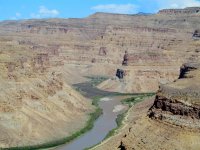 IMG_1390.JPG IMG_1390.JPG