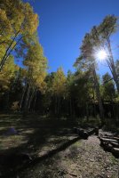 IMG_0073.jpg IMG_0073.jpg