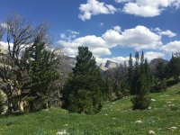 IMG_3177.JPG IMG_3177.JPG