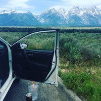 IMG_3390.JPG IMG_3390.JPG