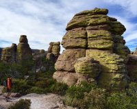 close-to-beehives-IMG_8308.jpeg close-to-beehives-IMG_8308.jpeg