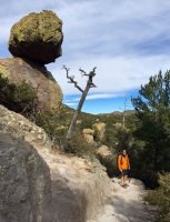 Falling rock-IMG_8287.jpg Falling rock-IMG_8287.jpg