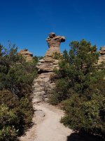 camel-P2102383.jpeg camel-P2102383.jpeg