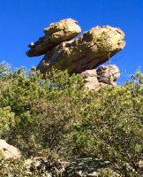 Duck-yr2017-IMG_0192.jpeg Duck-yr2017-IMG_0192.jpeg