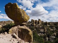 Ed Riggs?-P2113179.jpg Ed Riggs?-P2113179.jpg