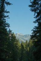 Stuart Fork with Freckes-2.jpg