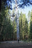 Stuart Fork with Freckes-5.jpg