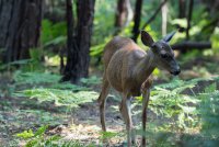 Stuart Fork with Freckes-13.jpg