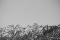 Stuart Fork with Freckes-16.jpg