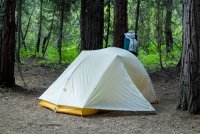 Stuart Fork with Freckes-37.jpg