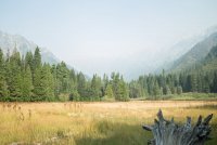 Stuart Fork with Freckes-39.jpg