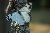 Stuart Fork with Freckes-41.jpg