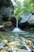Stuart Fork with Freckes-40.jpg