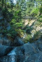 Stuart Fork with Freckes-44.jpg