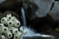 Stuart Fork with Freckes-45.jpg