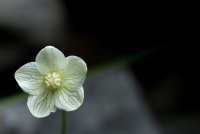 Stuart Fork with Freckes-49.jpg