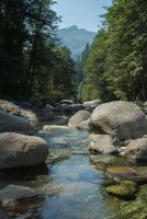 Stuart Fork with Freckes-51.jpg