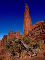 The Titan and more-PC120137.jpg