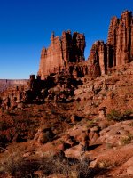 a flash of yellow-PC120451.jpg