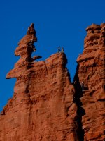 He is ready to climb-PC120455.jpg