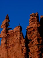 His first move-PC120493.jpg