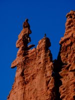 He is almost back-PC120695.jpg