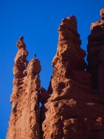 He is almost back-PC120715.jpg