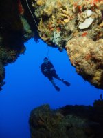 1-Underwater arch-Aase-06102001.jpg