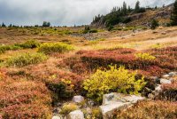 Naturalist Basin Loop 9-180789-proc.jpg