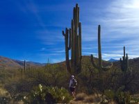 Loma Alta-IMG_8610.jpg