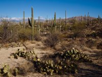 Douglas spring3-P2123277.jpg