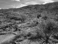 Douglas Spring8-P2123378.jpg