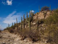 Douglas spring9-P2123487.jpg